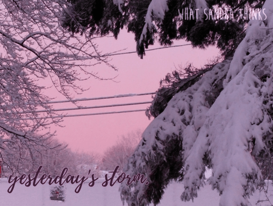 yesterday's storm. a poem by sandra.
