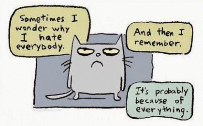 cynical cat.