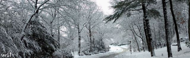 sig-crop-0216-snow-3-header