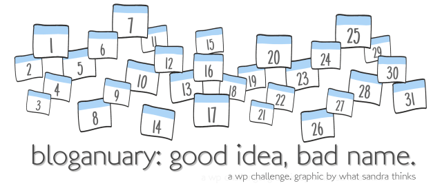 bloganuary | what sandra thinks